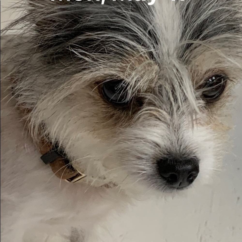 Meet your Posher, Sue